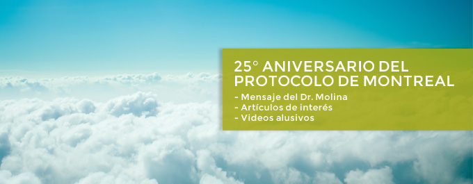 MM_banner_protocolo