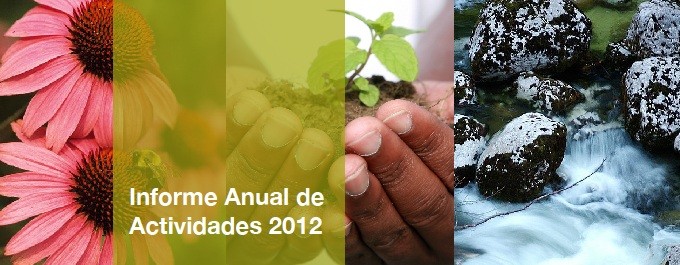 Informe Anual 2012